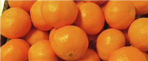 Klementiner kg
