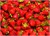 Jordbær norske 500gr