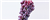 Druer røde 500gr